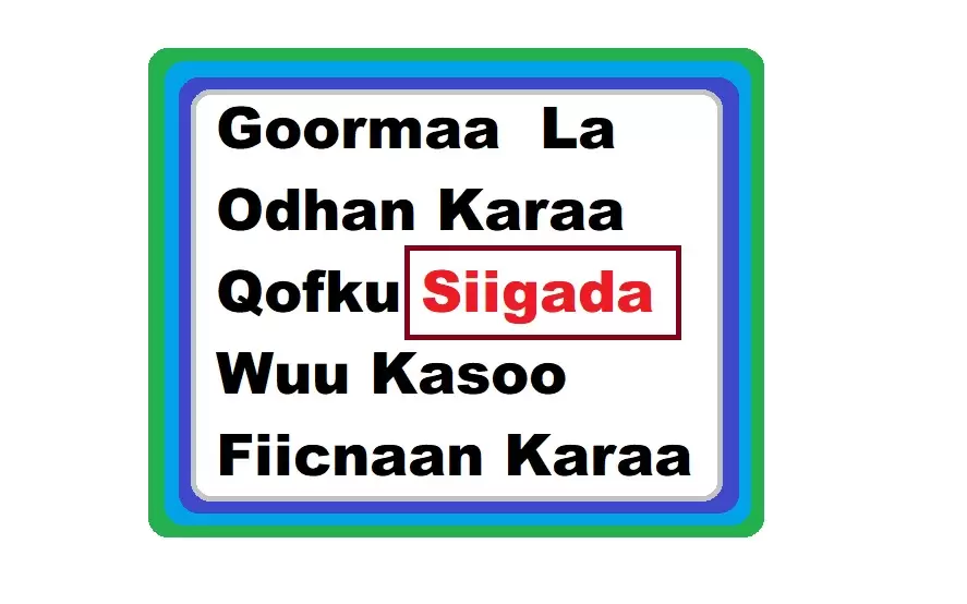 Goormaa La Odhan Karaa Qofku Siigada Wuu Kasoo Fiicnaan Karaa
