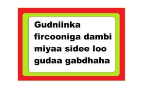 Gudniinka fircooniga dambi miyaa sidee loo gudaa gabdhaha