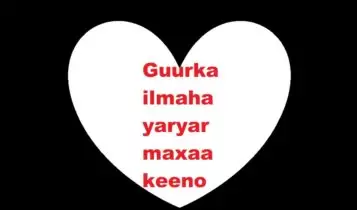 Guurka ilmaha yaryar maxaa keeno Guurka ilmaha yaryar maxaa keeno