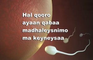 Hal qooro ayaan qabaa madhaleysnimo ma keyneysaa