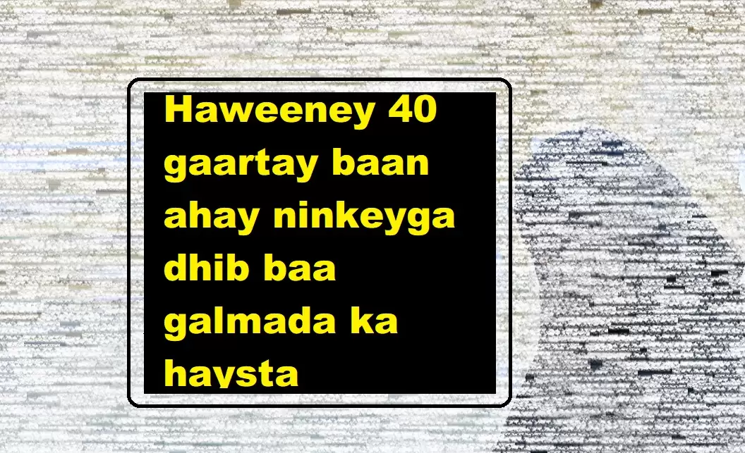 Haweeney 40 gaartay baan ahay ninkeyga dhib baa galmada ka haysta