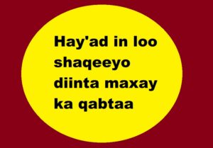 Hay'ad in loo shaqeeyo diinta maxay ka qabtaa