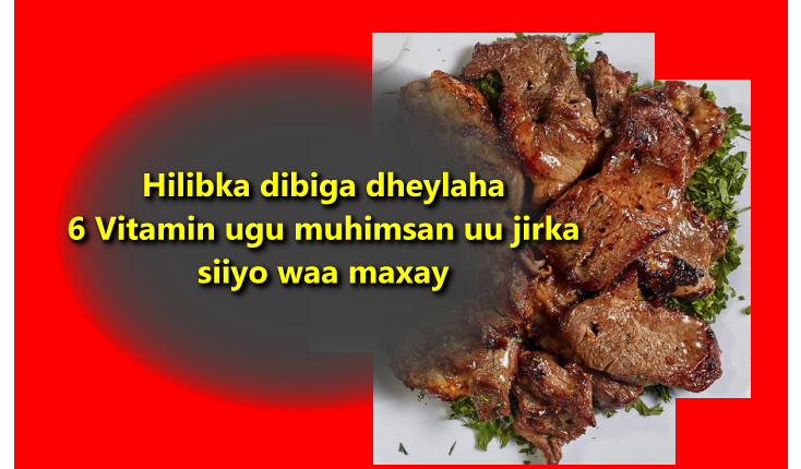 Hilibka dibiga dheylaha 6 Vitamin ugu muhimsan uu jirka siiyo waa maxay