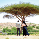 Hodan Naleye Video warka Af-soomaali ay ku akhrinayso