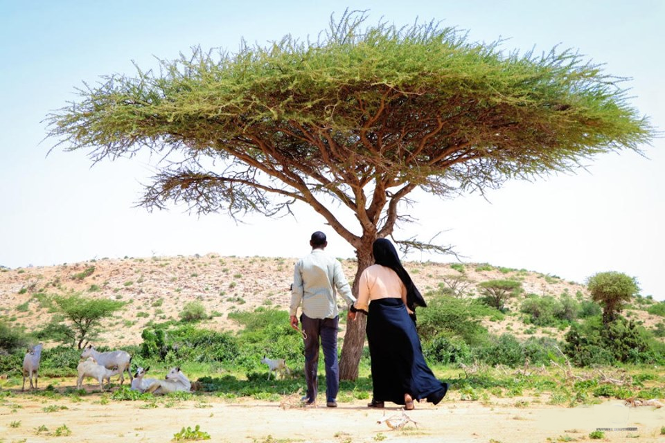 Hodan Naleye Video warka Af-soomaali ay ku akhrinayso