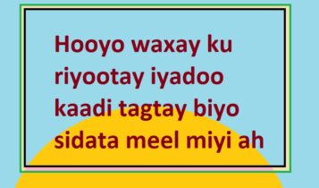 Hooyo waxay ku riyootay iyadoo kaadi tagtay biyo sidata meel miyi ah