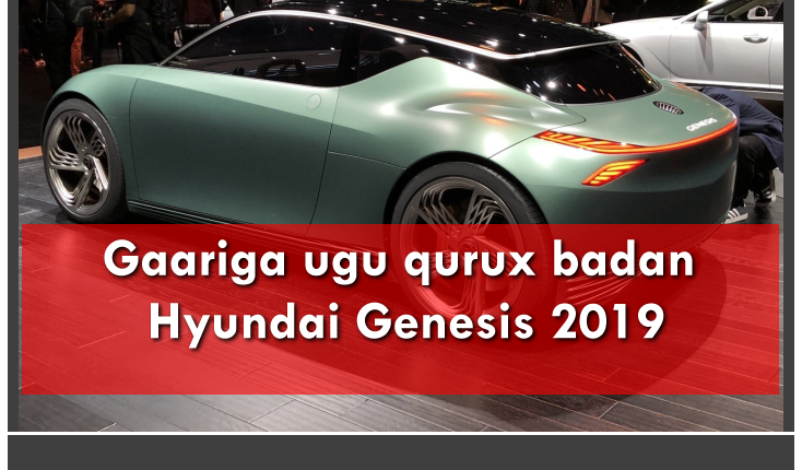 Hyundai Genesis 2019