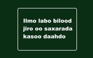 Ilmo labo bilood jiro oo saxarada kasoo daahdo