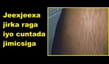 Jeexjeexa jirka raga iyo cuntada jimicsiga Jeexjeexa jirka raga iyo cuntada jimicsiga