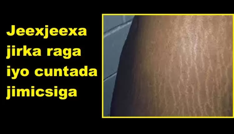 Jeexjeexa jirka raga iyo cuntada jimicsiga