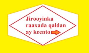 Jirooyinka raaxada qaldan ay keento