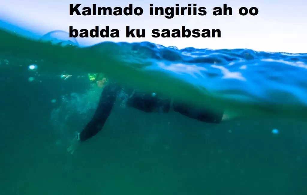 Kalmado ingiriis ah oo badda ku saabsan