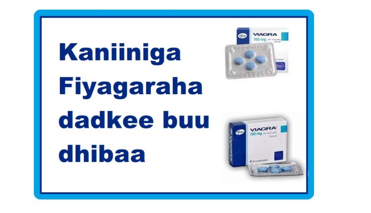 Kaniiniga Fiyagaraha dadkee buu dhibaa