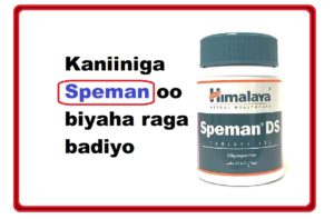 Kaniiniga Speman oo biyaha raga badiyo