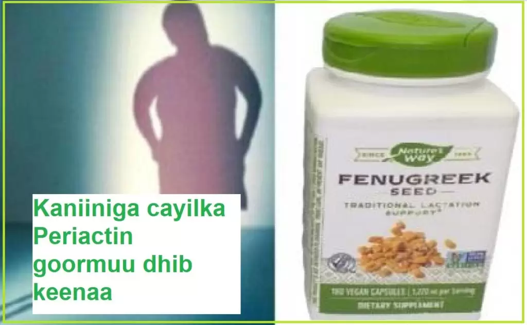 Kaniiniga cayilka Periactin goormuu dhib keenaa