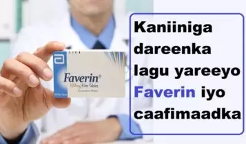 Kaniiniga dareenka lagu yareeyo Faverin iyo caafimaadka Kaniiniga dareenka lagu yareeyo Faverin iyo caafimaadka