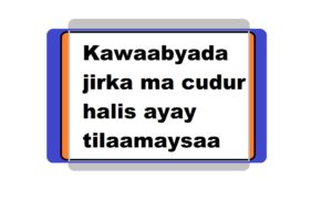 Kawaabyada jirka ma cudur halis ayay tilaamaysaa