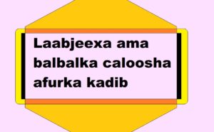 Laabjeexa ama balbalka caloosha afurka kadib