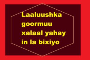 Laaluushka goormuu xalaal yahay in la bixiyo