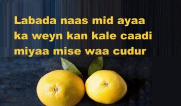 Labada naas mid ayaa ka weyn kan kale caadi miyaa mise waa cudur