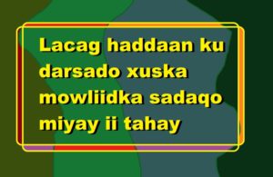 Lacag haddaan ku darsado xuska mowliidka sadaqo miyay ii tahay