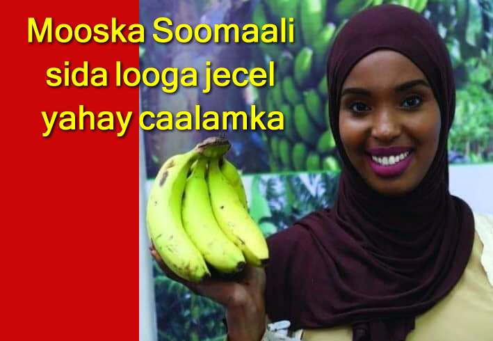 Mooska Soomaali sida looga jecel yahay caalamka