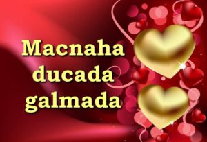 Macnaha ducada galmada