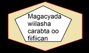 Magacyada wiilasha carabta oo fiifiican