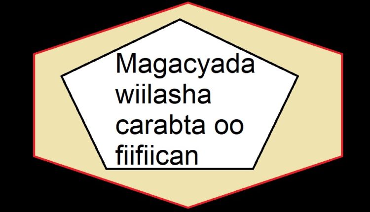 Magacyada wiilasha carabta oo fiifiican