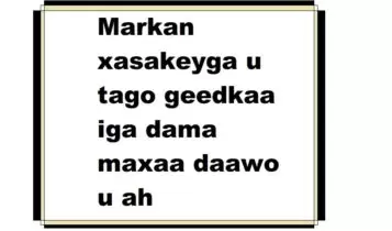 Markan xasakeyga u tago geedkaa iga dama maxaa daawo u ah Markan xasakeyga u tago geedkaa iga dama maxaa daawo u ah