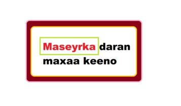 Maseyrka daran maxaa keeno