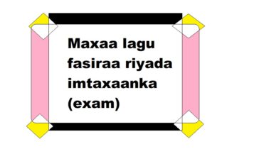 Maxaa lagu fasiraa riyada imtaxaanka (exam)