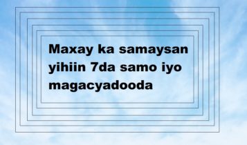 Maxay ka samaysan yihiin 7da samo iyo magacyadooda