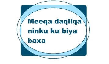 Meeqa daqiiqa ninku ku biya baxa