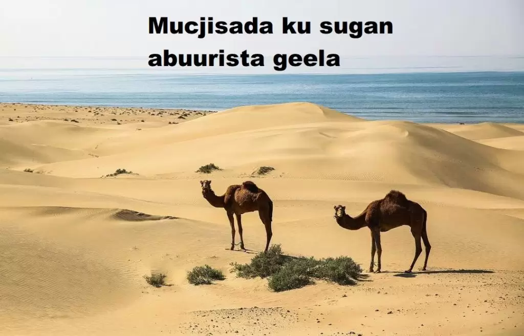 Mucjisada ku sugan abuurista geela