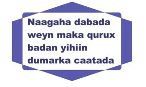 Naagaha dabada weyn maka qurux badan yihiin dumarka caatada