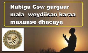 Nabiga Csw gargaar mala weydiisan karaa maxaase dhacaya