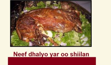 Neef dhalyo yar oo shiilan