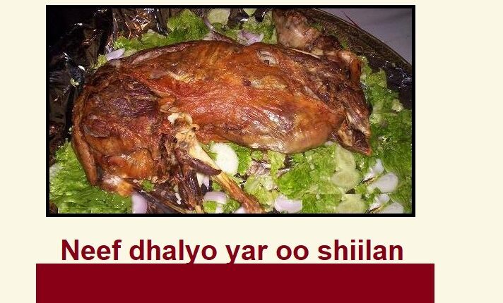 Neef dhalyo yar oo shiilan