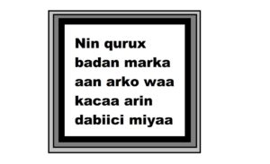 Nin qurux badan marka aan arko waa kacaa arin dabiici miyaa