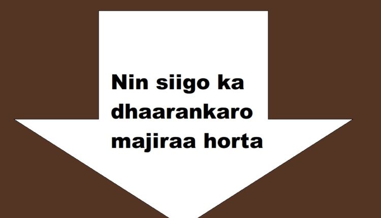 Nin siigo ka dhaarankaro majiraa horta