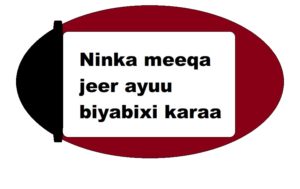 Ninka meeqa jeer ayuu biyabixi karaa