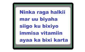 Ninka raga halkii mar uu biyaha siigo ku bixiyo immisa vitamiin ayaa ka bixi karta