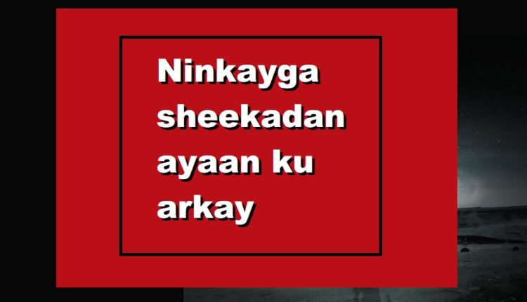 Ninkayga sheekadan ayaan ku arkay