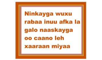 Ninkayga wuxu rabaa inuu afka la galo naaskayga oo caano leh xaaraan miyaa