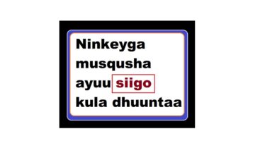 Ninkeyga musqusha ayuu siigo kula dhuuntaa