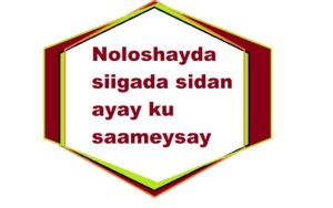 Noloshayda siigada sidan ayay ku saameysay 