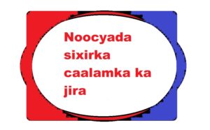 Noocyada sixirka caalamka ka jira