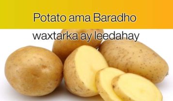 Potato ama Baradho waxtarka ay leedahay