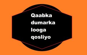 Qaabka dumarka looga qosliyo